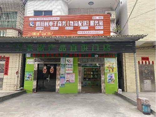 搭建县域电商平台,让新兴群众在家享 红利